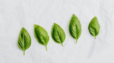 garnishing-instructions-image